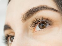 ¿Cómo se deben cuidar las cejas?