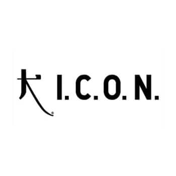Logo de Icon